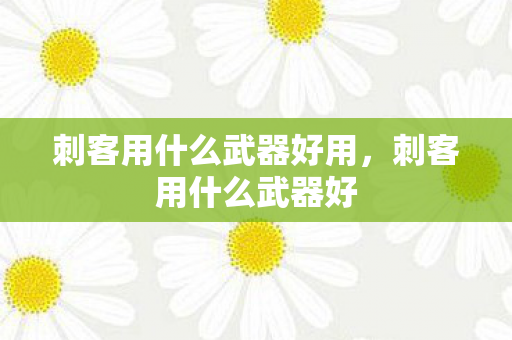 刺客用什么武器好用，刺客用什么武器好