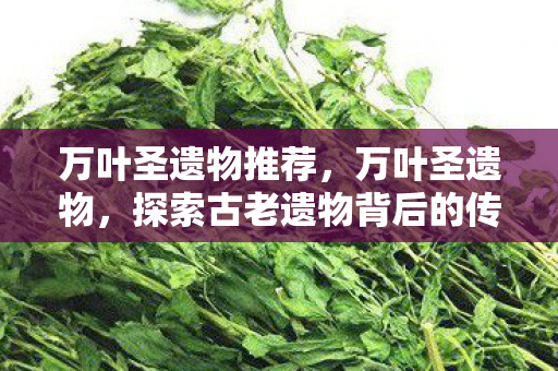 万叶圣遗物推荐，万叶圣遗物，探索古老遗物背后的传奇故事