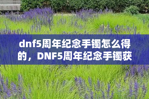dnf5周年纪念手镯怎么得的，DNF5周年纪念手镯获取攻略