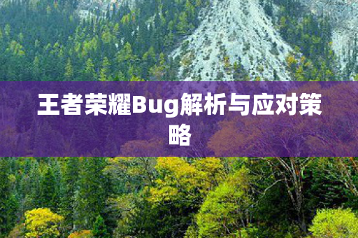 王者荣耀Bug解析与应对策略