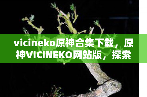 vicineko原神合集下载，原神VICINEKO网站版，探索未知世界的奇妙之旅