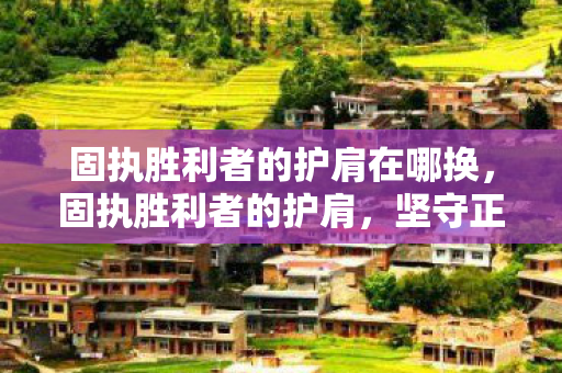 固执胜利者的护肩在哪换，固执胜利者的护肩，坚守正版，荣耀加冕