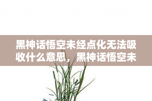 黑神话悟空未经点化无法吸收什么意思，黑神话悟空未经点化，探索游戏世界的无限可能