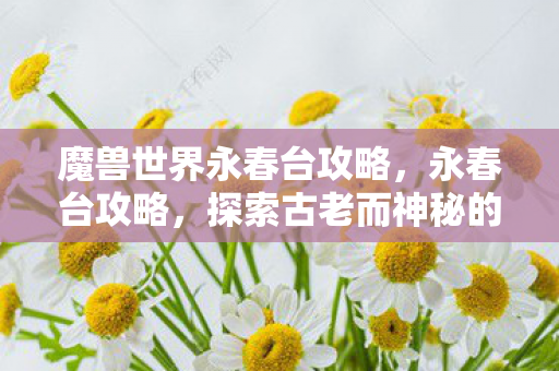 魔兽世界永春台攻略，永春台攻略，探索古老而神秘的文化遗产