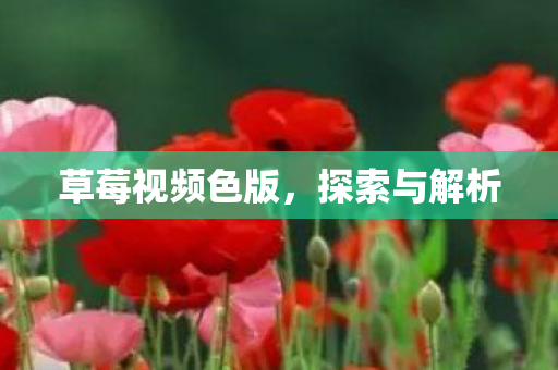 草莓视频色版，探索与解析