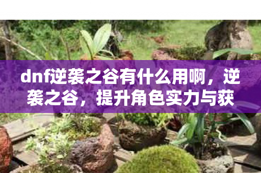 dnf逆袭之谷有什么用啊，逆袭之谷，提升角色实力与获取稀有奖励的绝佳途径