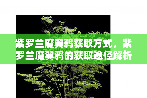 紫罗兰魔翼鸦获取方式，紫罗兰魔翼鸦的获取途径解析