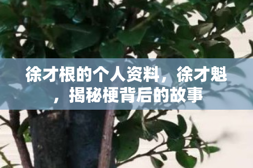 徐才根的个人资料，徐才魁，揭秘梗背后的故事