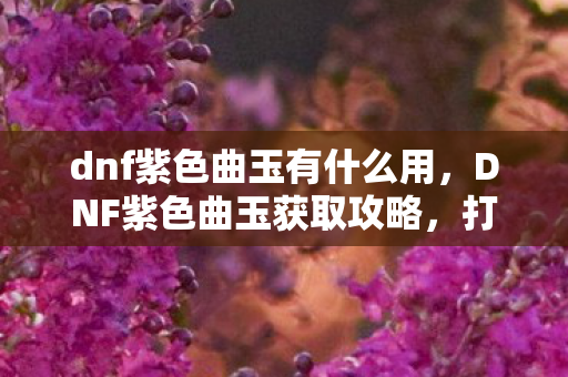 dnf紫色曲玉有什么用，DNF紫色曲玉获取攻略，打造你的专属神器