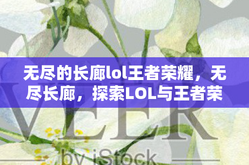 无尽的长廊lol王者荣耀，无尽长廊，探索LOL与王者荣耀的竞技魅力