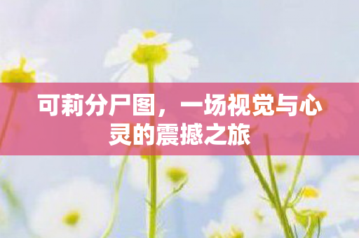 可莉分尸图，一场视觉与心灵的震撼之旅