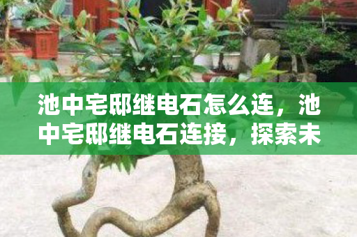 池中宅邸继电石怎么连，池中宅邸继电石连接，探索未知领域的奇妙之旅