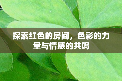 探索红色的房间，色彩的力量与情感的共鸣