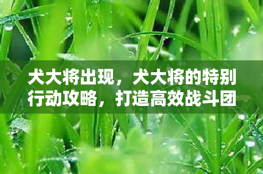 犬大将出现，犬大将的特别行动攻略，打造高效战斗团队