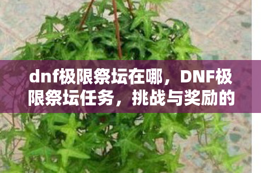 dnf极限祭坛在哪，DNF极限祭坛任务，挑战与奖励的完美结合