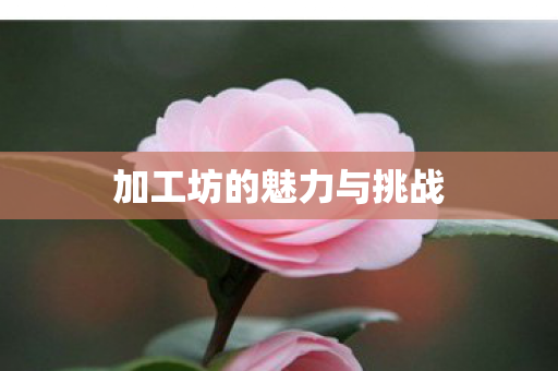 加工坊的魅力与挑战