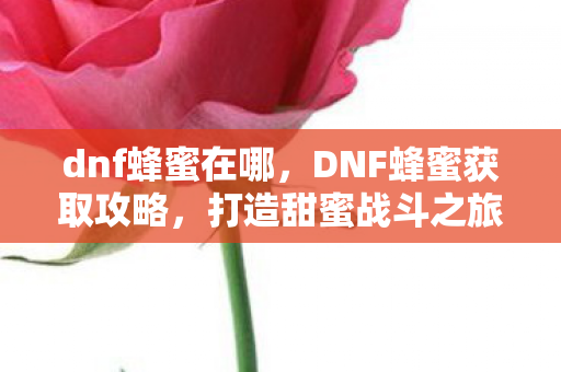 dnf蜂蜜在哪，DNF蜂蜜获取攻略，打造甜蜜战斗之旅