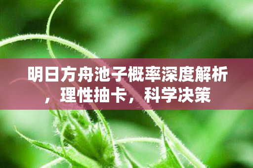 明日方舟池子概率深度解析，理性抽卡，科学决策