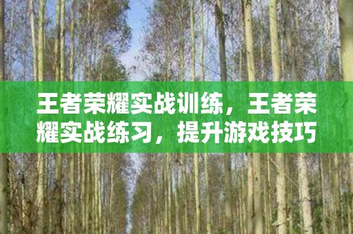 王者荣耀实战训练，王者荣耀实战练习，提升游戏技巧的有效路径