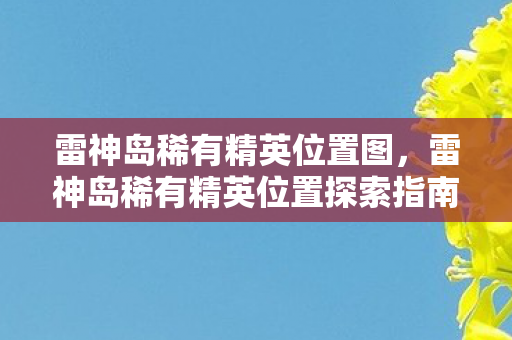 雷神岛稀有精英位置图，雷神岛稀有精英位置探索指南