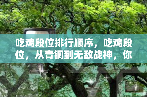 吃鸡段位排行顺序，吃鸡段位，从青铜到无敌战神，你属于哪个段位？