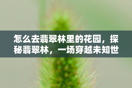 怎么去翡翠林里的花园，探秘翡翠林，一场穿越未知世界的奇幻之旅