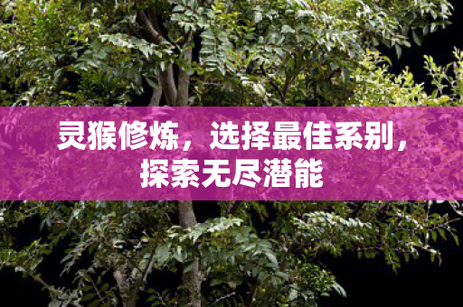 灵猴修炼，选择最佳系别，探索无尽潜能