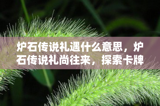 炉石传说礼遇什么意思，炉石传说礼尚往来，探索卡牌游戏的社交互动与礼仪