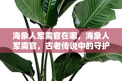 海象人军需官在哪，海象人军需官，古老传说中的守护者