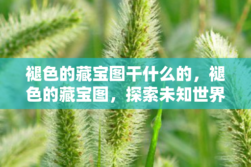 褪色的藏宝图干什么的，褪色的藏宝图，探索未知世界的神秘之旅