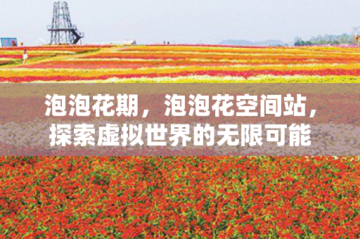 泡泡花期，泡泡花空间站，探索虚拟世界的无限可能