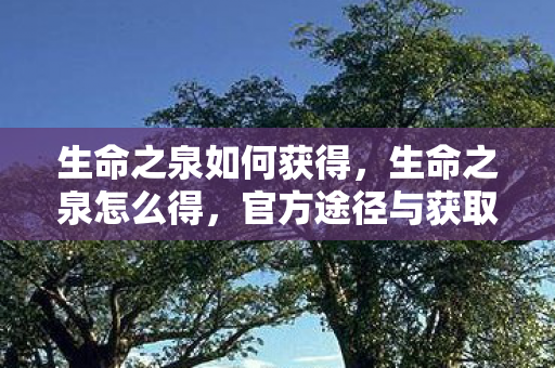 生命之泉如何获得，生命之泉怎么得，官方途径与获取攻略
