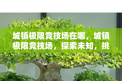 城镇极限竞技场在哪，城镇极限竞技场，探索未知，挑战极限