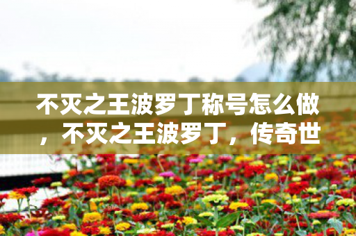 不灭之王波罗丁称号怎么做，不灭之王波罗丁，传奇世界的王者之路