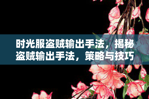 时光服盗贼输出手法，揭秘盗贼输出手法，策略与技巧的深度剖析