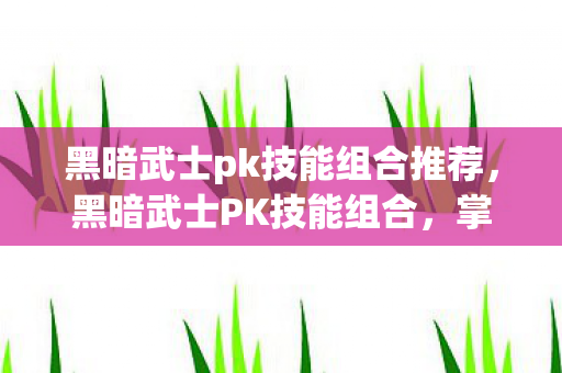 黑暗武士pk技能组合推荐，黑暗武士PK技能组合，掌控战场，主宰胜负