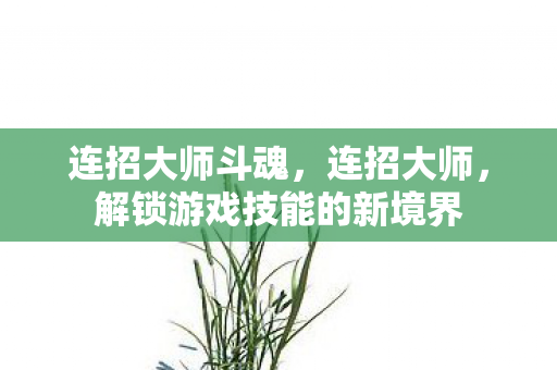 连招大师斗魂，连招大师，解锁游戏技能的新境界