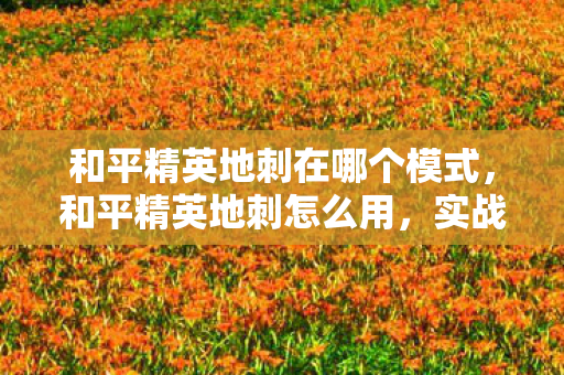 和平精英地刺在哪个模式，和平精英地刺怎么用，实战技巧与策略分析