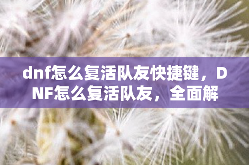 dnf怎么复活队友快捷键，DNF怎么复活队友，全面解析复活机制与策略