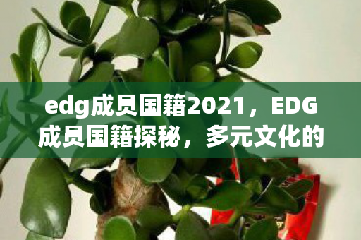 edg成员国籍2021，EDG成员国籍探秘，多元文化的电竞之星