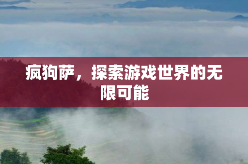 疯狗萨，探索游戏世界的无限可能