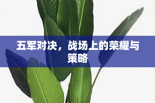 五军对决，战场上的荣耀与策略