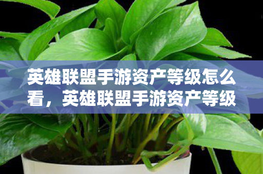 英雄联盟手游资产等级怎么看，英雄联盟手游资产等级，解锁你的游戏财富之路