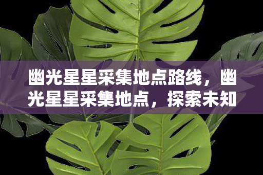 幽光星星采集地点路线，幽光星星采集地点，探索未知星域的神秘之旅