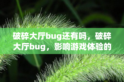 破碎大厅bug还有吗，破碎大厅bug，影响游戏体验的深层问题