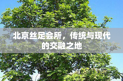 北京丝足会所,传统与现代的交融之地 北京丝足会所,传统与现代的交融之地