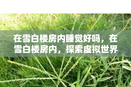 在雪白楼房内睡觉好吗，在雪白楼房内，探索虚拟世界的无限可能