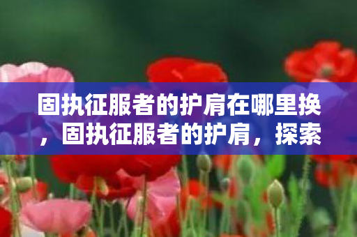 固执征服者的护肩在哪里换，固执征服者的护肩，探索游戏装备的深度价值