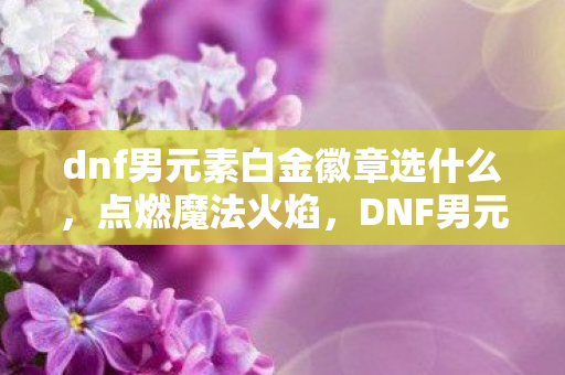 dnf男元素白金徽章选什么，点燃魔法火焰，DNF男元素师的华丽冒险