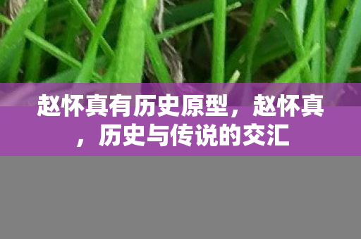 赵怀真有历史原型，赵怀真，历史与传说的交汇